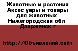 Животные и растения Аксесcуары и товары для животных. Нижегородская обл.,Дзержинск г.